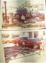 Click to show the large picture...